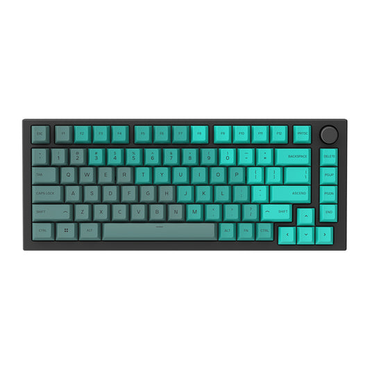 GLORIOUS Gaming 115x GPBT-Keycaps - Cherry-Profil, äußerst widerstandsfähiger PBT-Kunststoff, optisch EIN Blickfang, überragende Akustik, Originalschrift - Rain Forest Englische QWERTY-Belegung